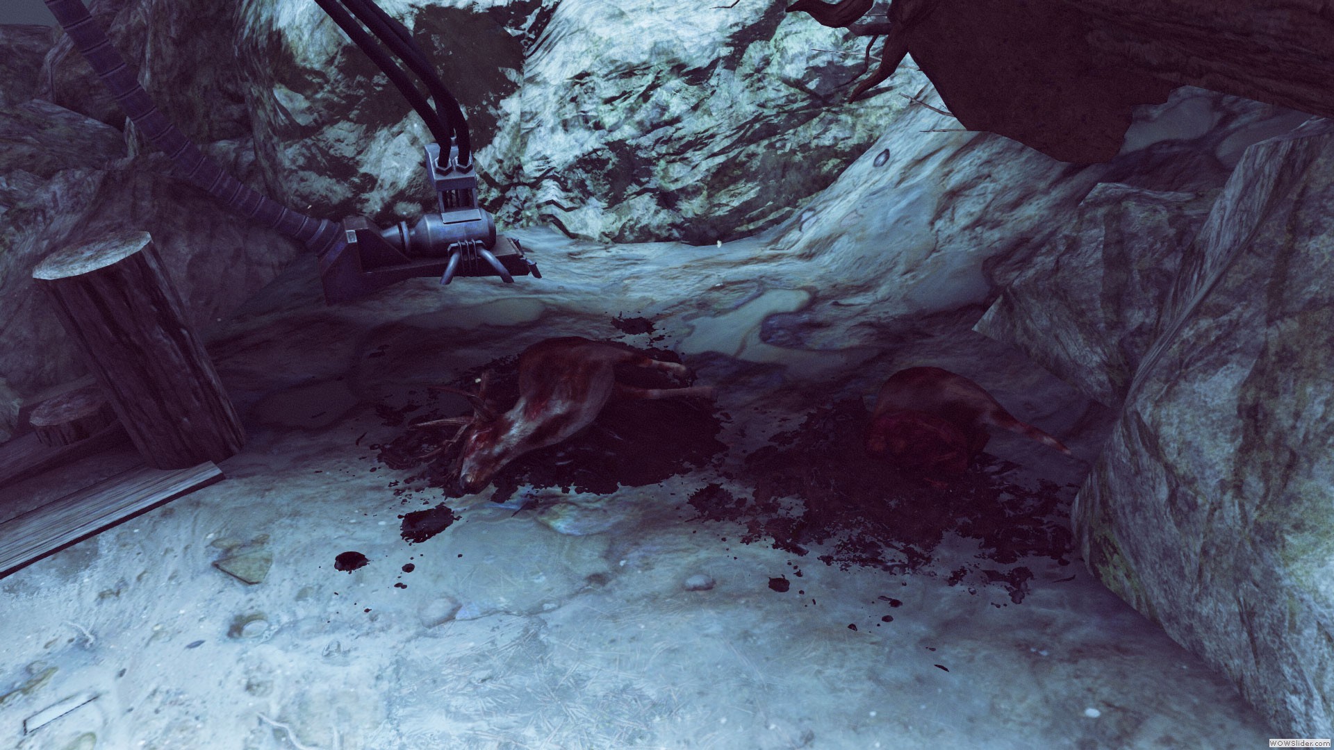 Dead Deer